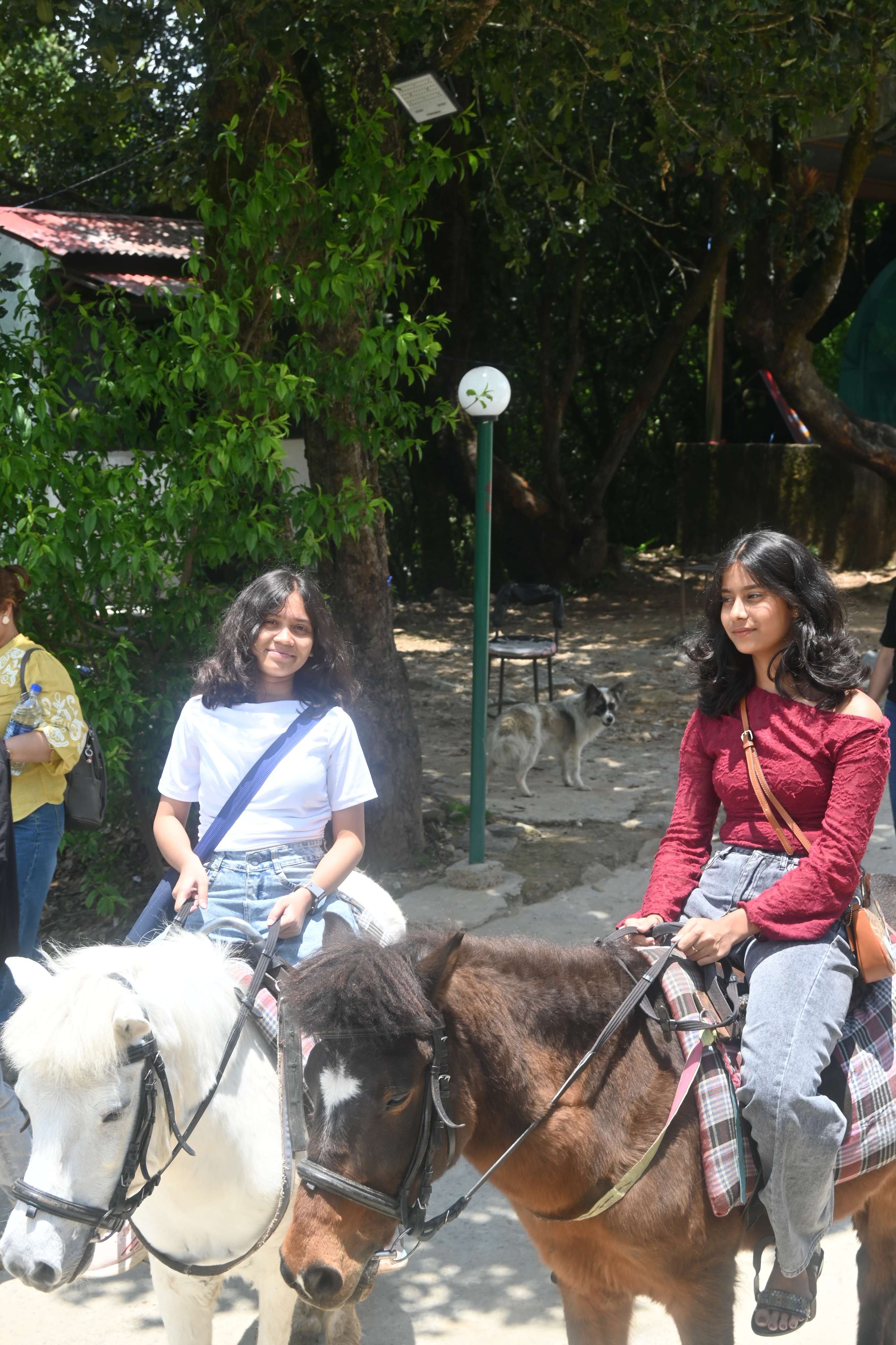 Nepal Tour Pic photo 45